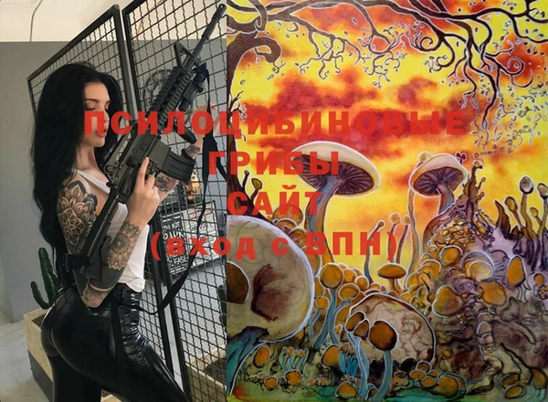 марки lsd Переславль-Залесский