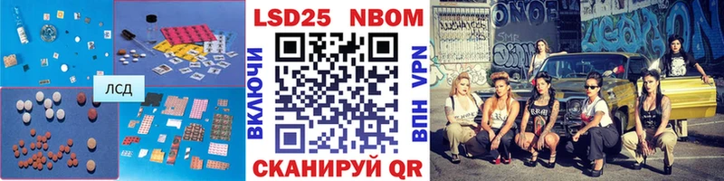 omg зеркало  Новоалександровск  Лсд 25 экстази кислота 