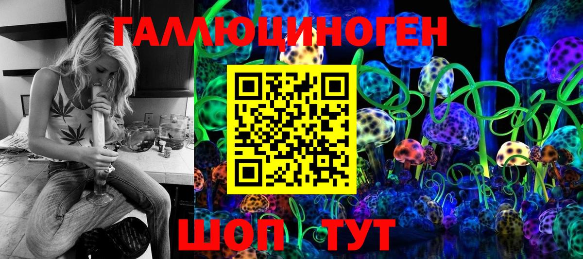 Псилоцибиновые грибы MAGIC MUSHROOMS  Вход с VPN  где купить наркоту  Новоалександровск 